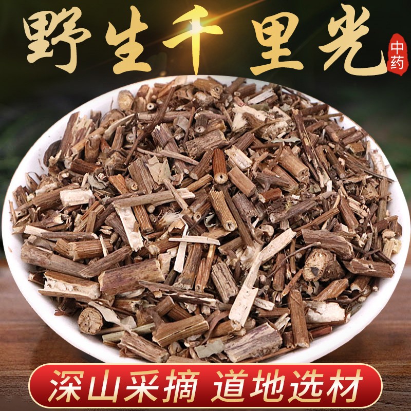 【优选】伟博 野生千里光中草药500g克九里明中药材光洗澡泡澡一扫光