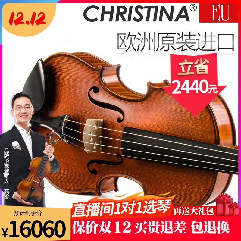 克莉丝蒂娜（Christina）欧洲原装进口手工小提琴EU5000A演奏考级成人学生乐队收藏乐器 4/4