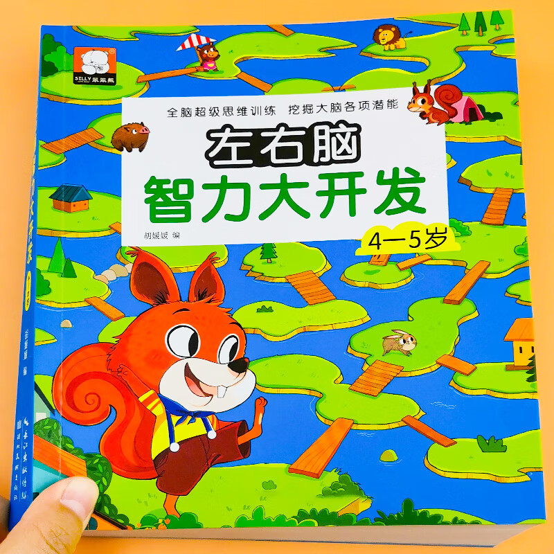 图书思维训练托班小班训练幼儿启蒙教育宝宝益智早教书逻辑思维左右脑