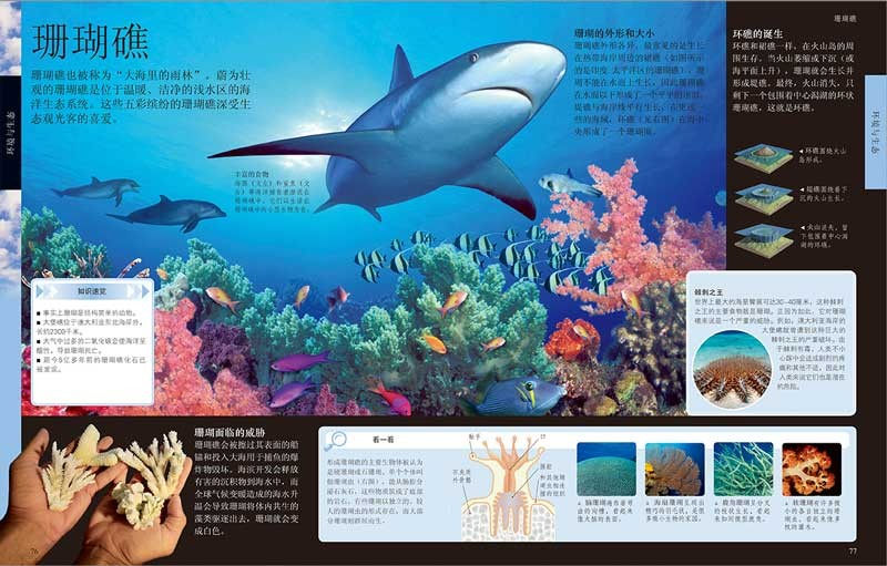 DK儿童百科全书（2021年全新印刷） 开学必备 课外读物详情图