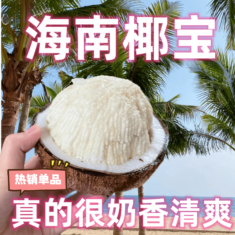 花农氏海南椰宝牛奶椰宝椰子芽椰椰青老椰子芽椰子芯热带水果煲汤炖鸡汤 椰宝 4个