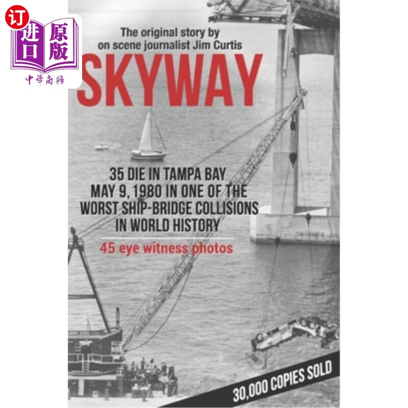 海外直订skyway 人行天桥