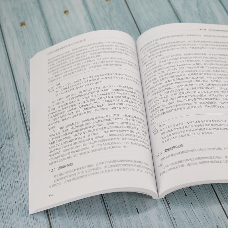 CCSP云安全专家认证All-in-One（第2版）（网络空间安全丛书）