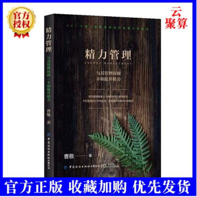 2021新书 精力管理:与其管理时间,不如提升精力 曹敬 精力的金字塔