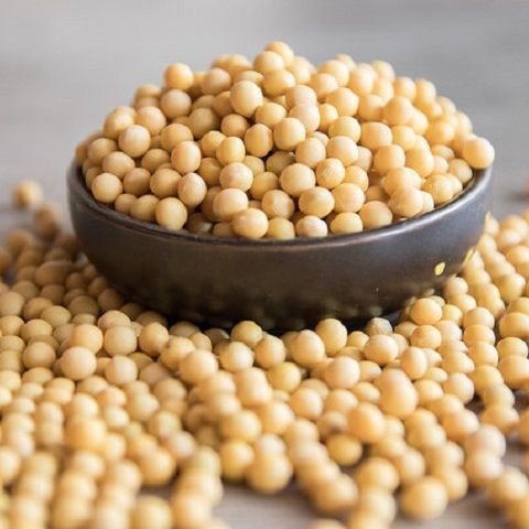 笨黄豆新黄豆打豆浆大豆农家自种黄豆红豆绿豆东北内蒙冻伤不赔 黄豆5