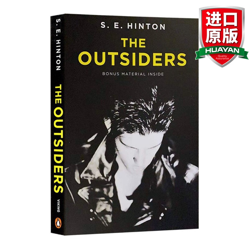 英文原版 追逐金色的少年 局外人 the outsiders 常青藤国际大奖小说