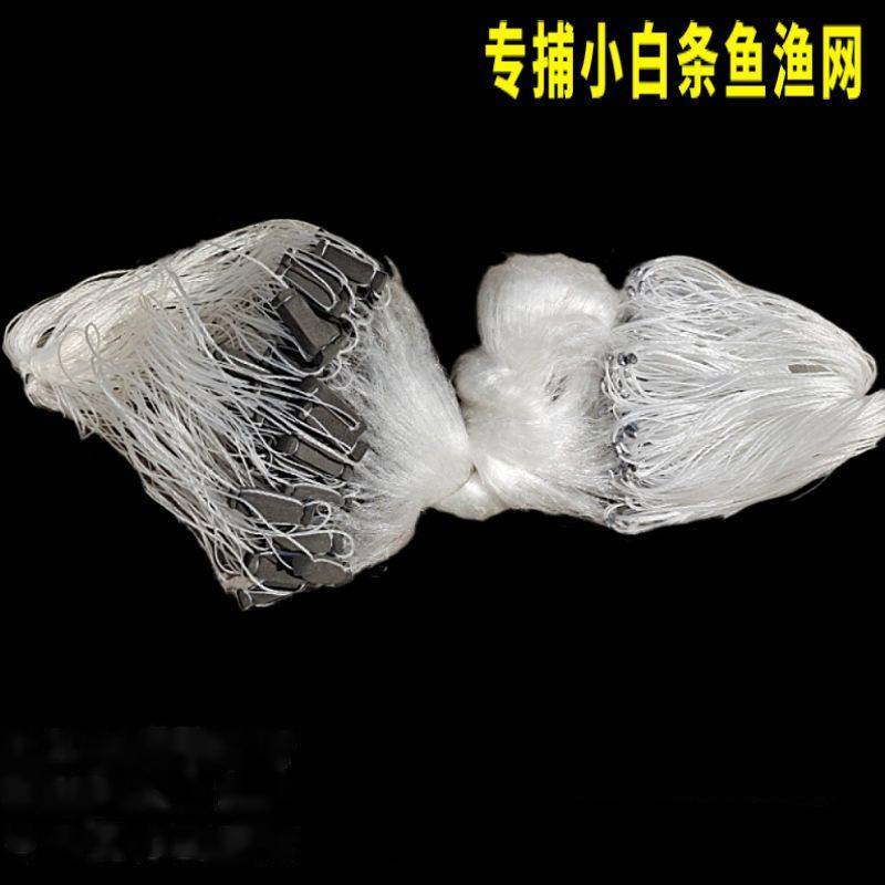 5分6分7分8分9分渔民专捕小白条鲢子鱼川丁丝网挂网捕鱼渔网 5分半指