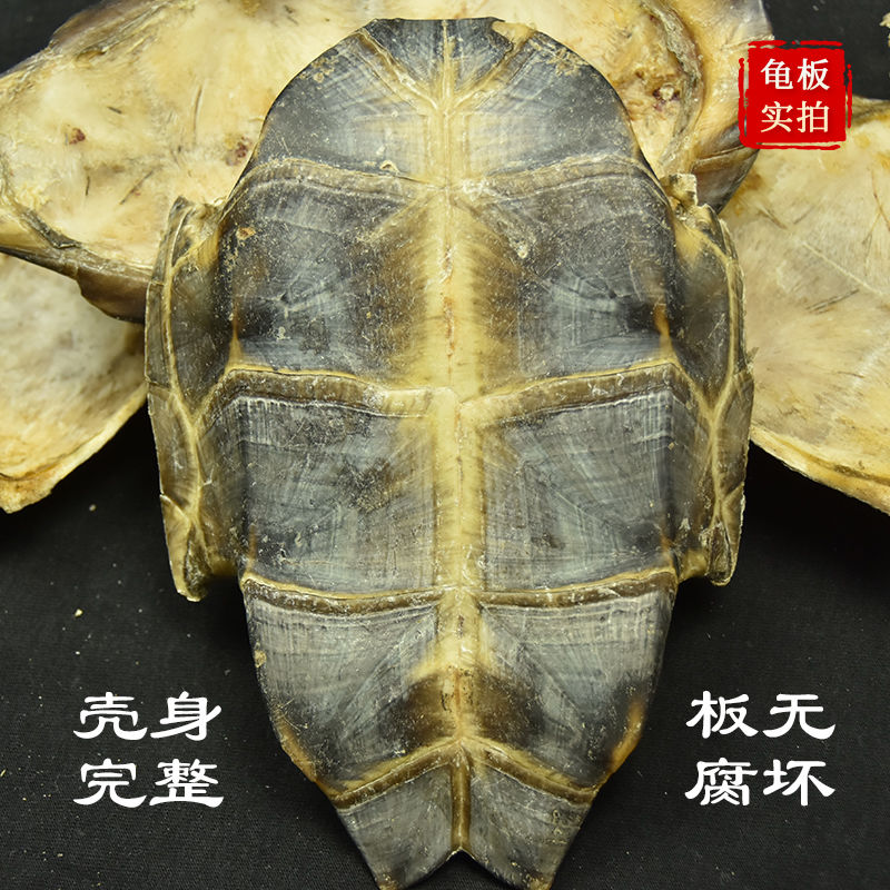龟板 中药材   龟板 有制龟板 醋龟板 乌龟壳 可磨粉500g 鳖甲 血龟板
