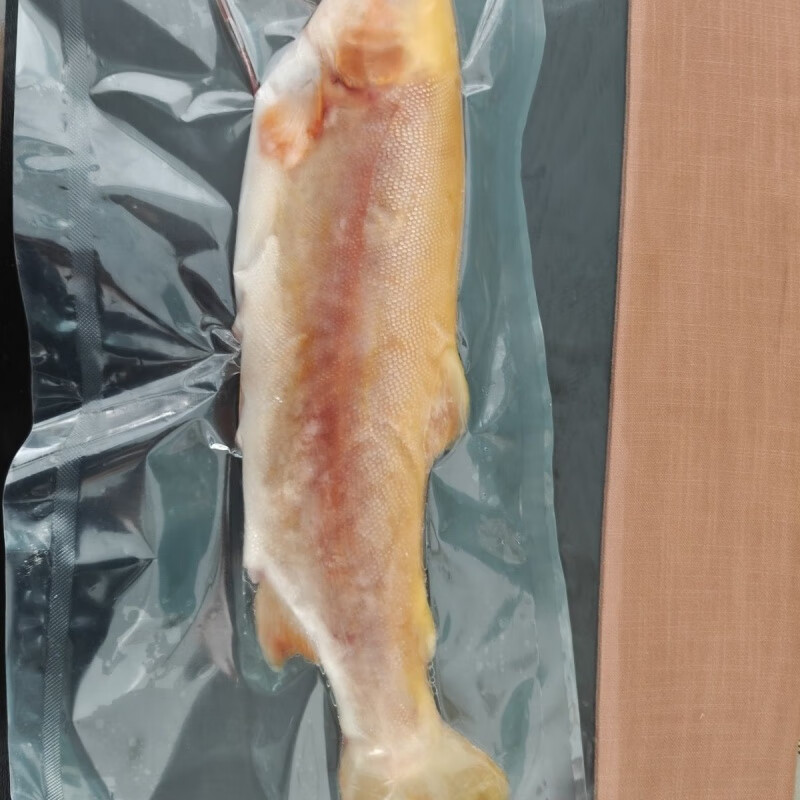食怀新疆伊犁三文鱼(金樽)高品质比虹鳟品质更高 0污染活鱼现杀 0.