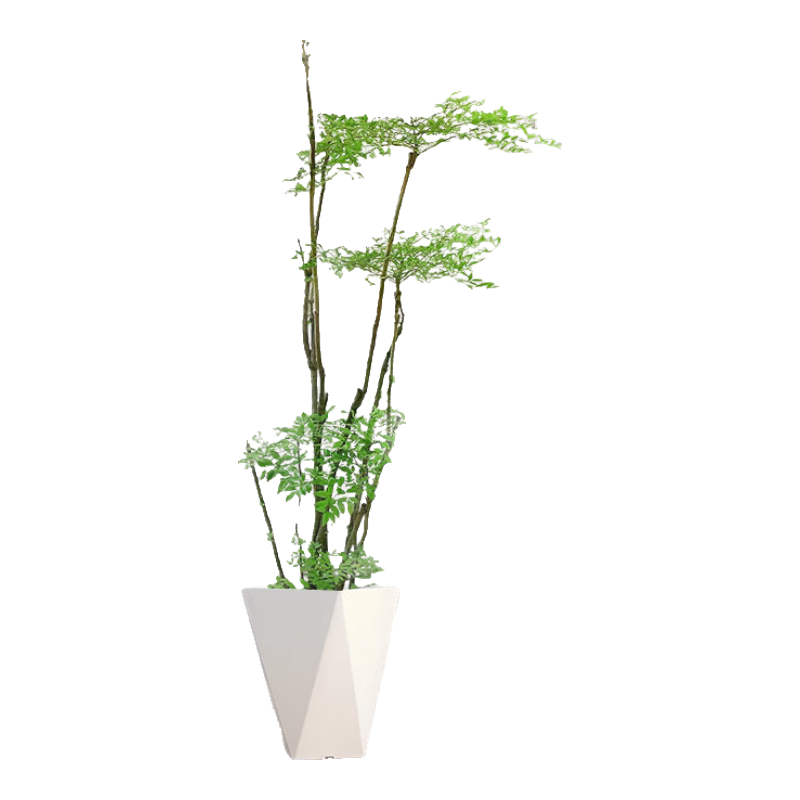 �����о�Ʒ���������ڰ칫�Ҵ�����ֲ���Կ����쾰�����ļ�����Դͷֱ��