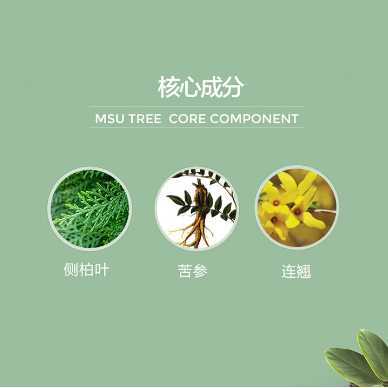 尊荣 侧柏叶洗发水去屑止痒控油强根洗头膏植物深层清洁柔顺洗护套装 控油强根洗发露310ml