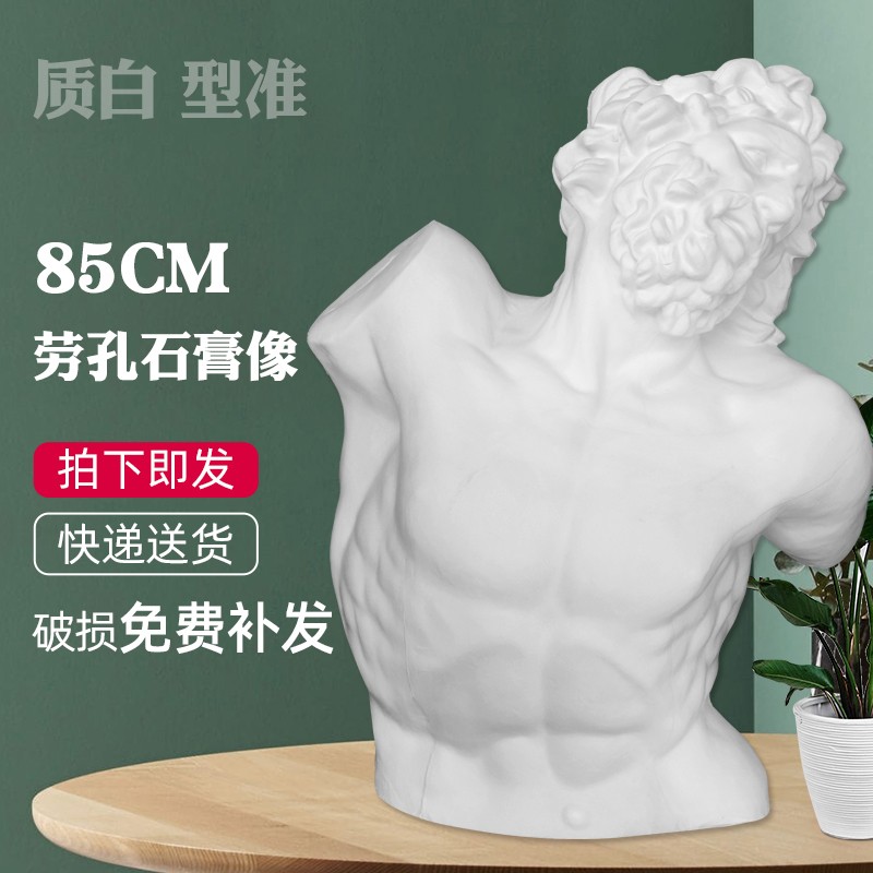 劳孔石膏像 拉奥孔胸像石膏静物美术用品写生教具头像素描绘画班雕塑