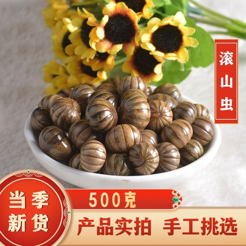 北京同仁堂 原料 内廷上用 滚山虫 中药材 滚山珠 地罗汉 滚山珠虫 50