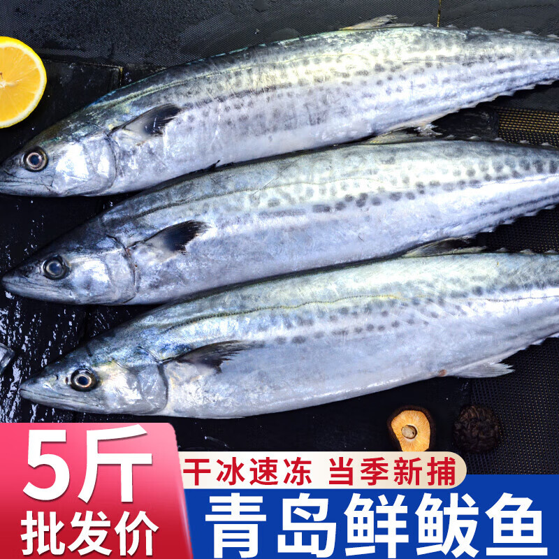 十里馋青岛鲅鱼新鲜冷冻鲐鲅鱼马鲛鱼整条冷冻大青鱼马友鱼马交鱼海鲜