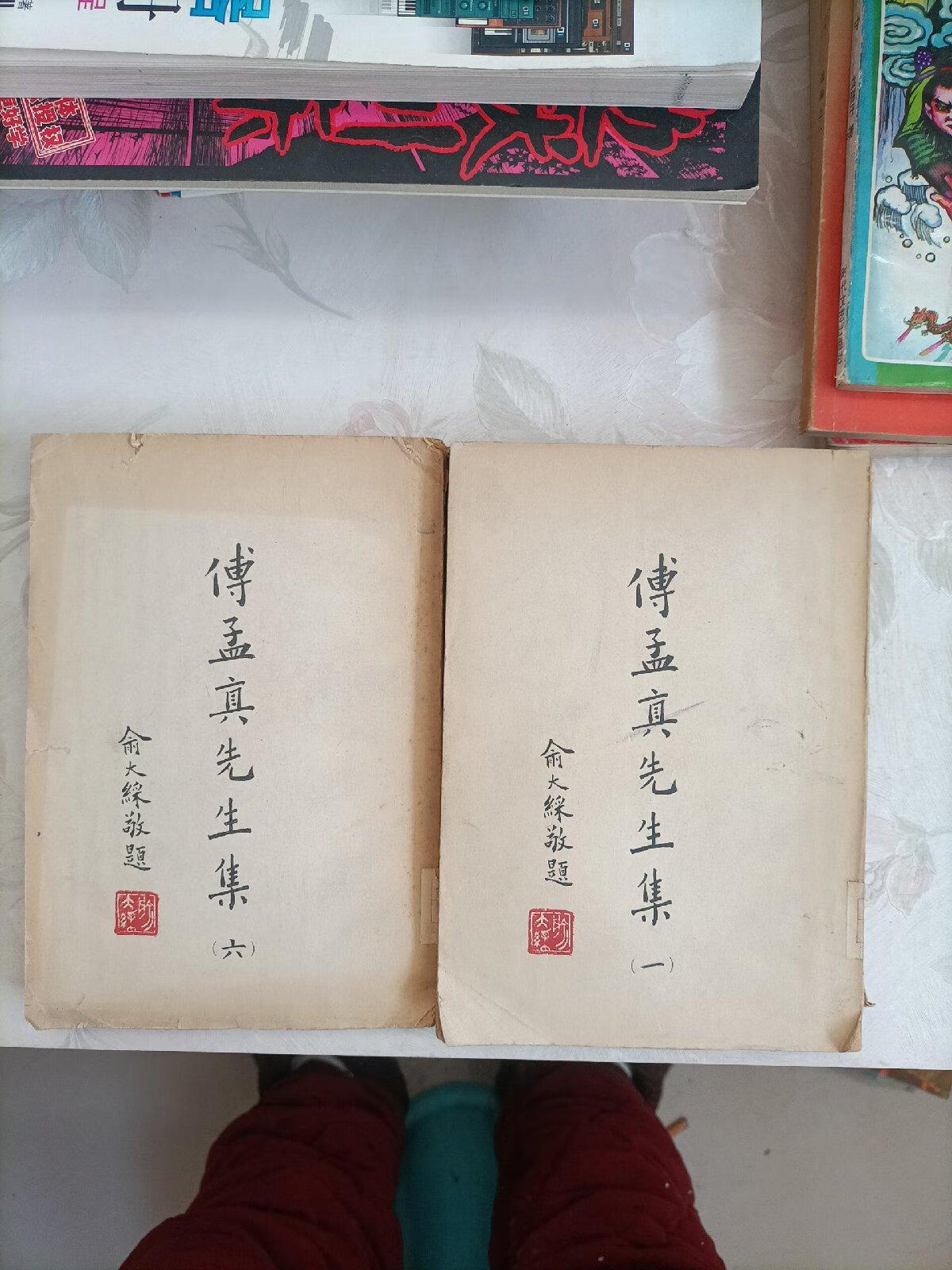 [二手9成新]傅孟真先生集(册上)(第六册下)