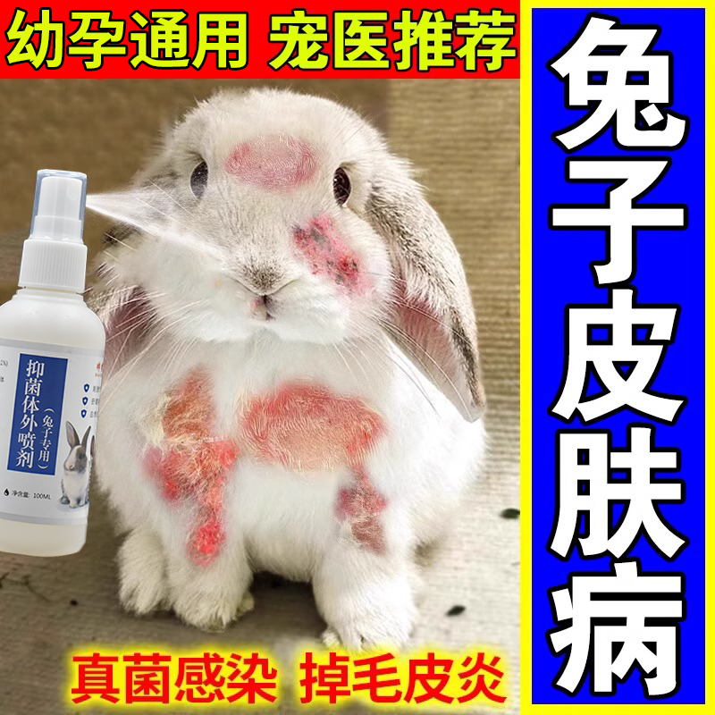 其他家兔子皮肤病真菌感染掉毛溃烂脚皮炎兔癣耳朵烂脚丫兔抑菌体外