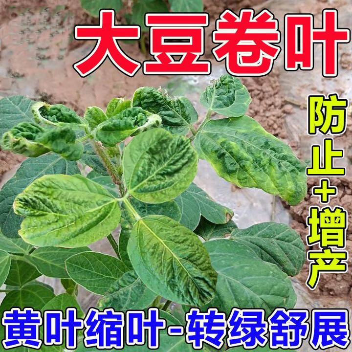 垄颖大豆病专用叶面肥大豆病毒病虫害豆角豆类豇豆黄豆除菌剂抗病增产