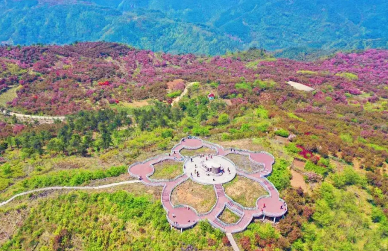 成人票 宁波余姚四明山 景点门票