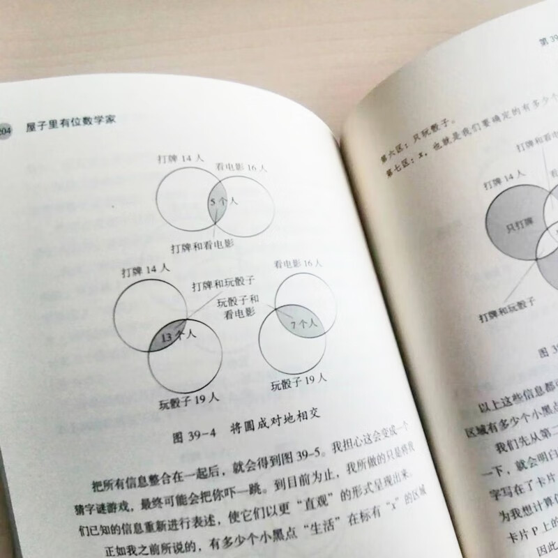 屋子里有位数学家/[阿根廷]阿德里安·帕恩扎详情图