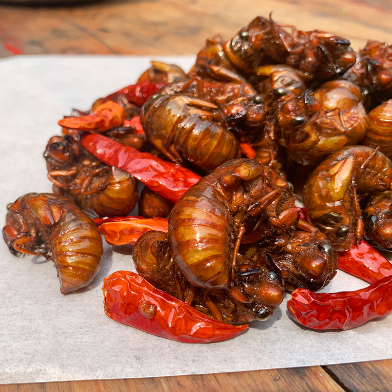棠鲜生棠鲜生 油炸知了猴金蝉即食蝉蛹昆虫美味小吃肉类零食下酒60只