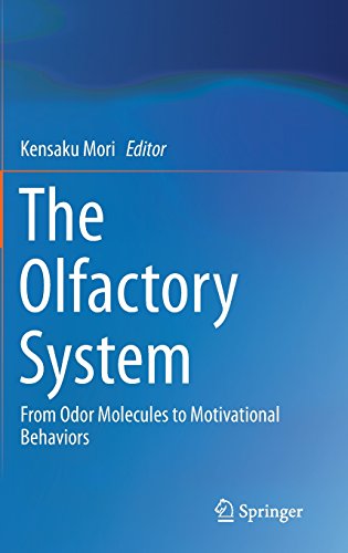 【预订】the olfactory system