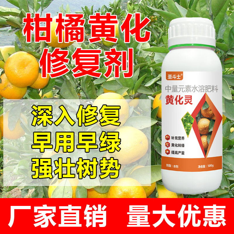 [黄化一喷灵]柑橘黄化病专用药黄龙黄叶叶斑黄叶落花落果全治农用