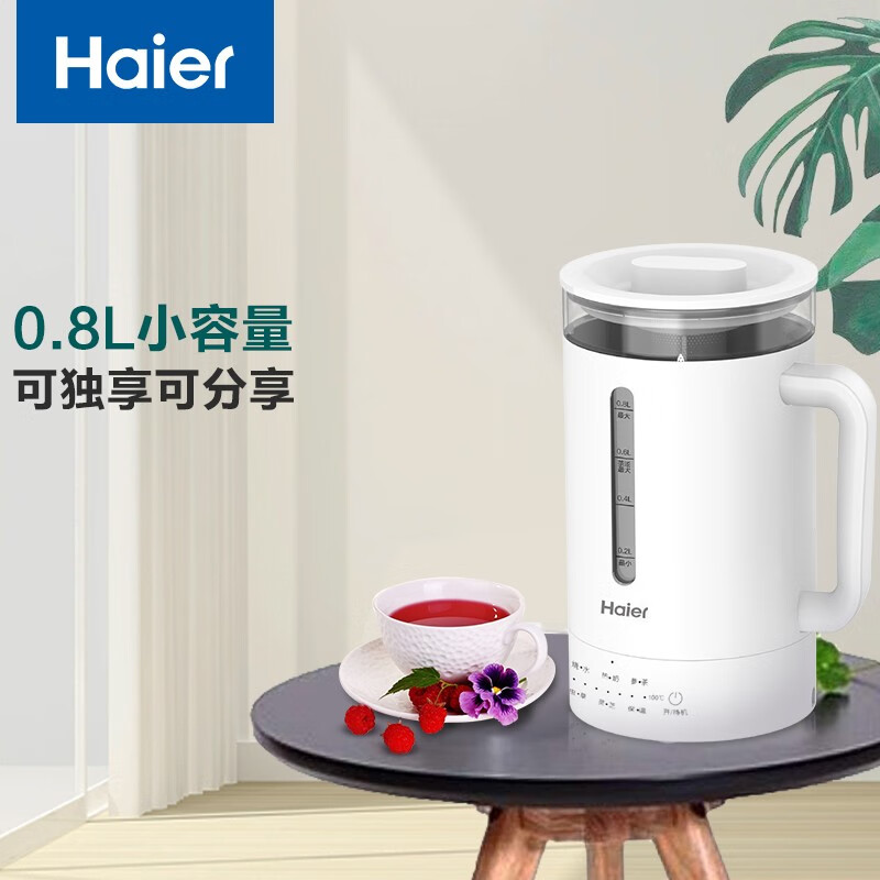海尔（Haier） 养生壶办公室小型全自动玻璃养身煮花茶壶家用多功能煮茶器HG-08H2W 白色