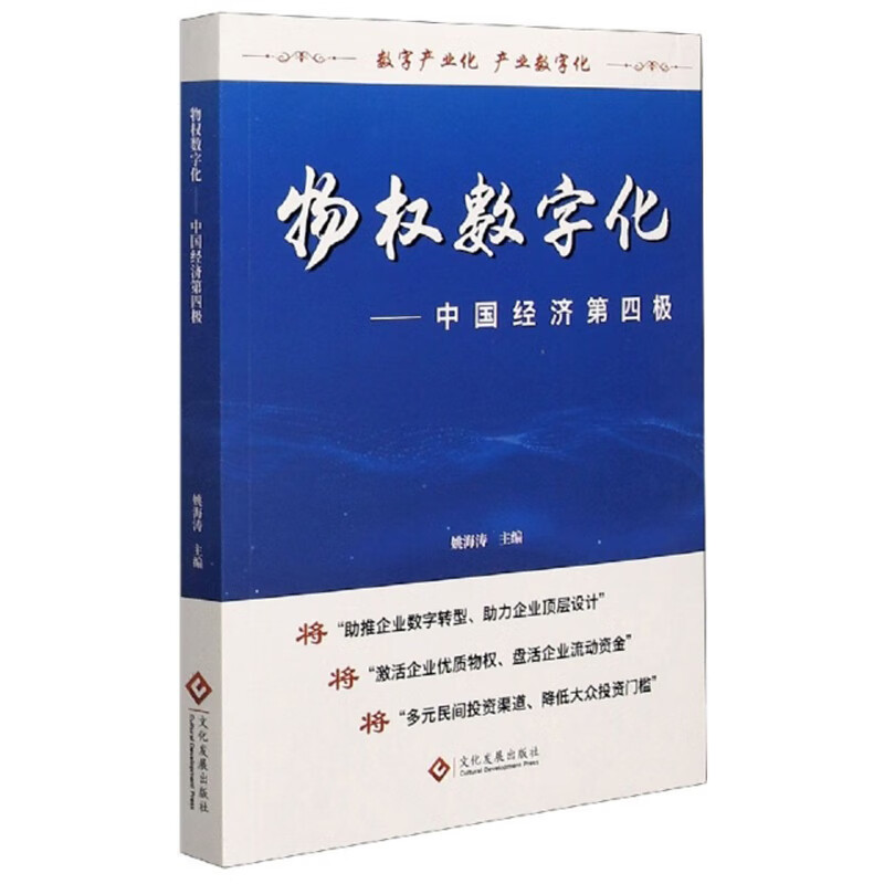 物权数字化-中国经济第四极姚海涛9787514233803