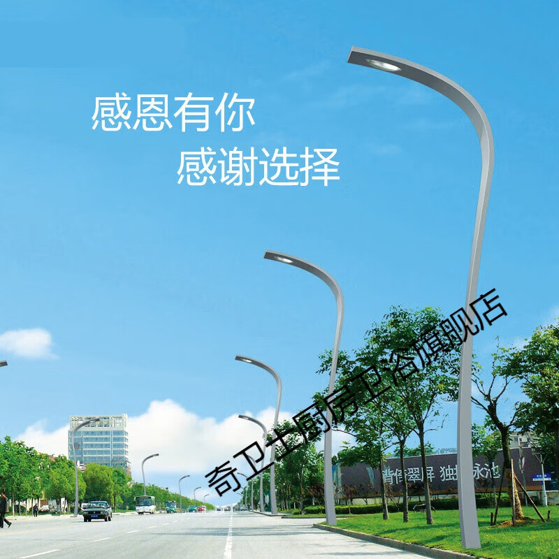 施韵令12米双臂路灯杆道路照明景观灯高低臂单臂路灯高杆灯 10米自弯