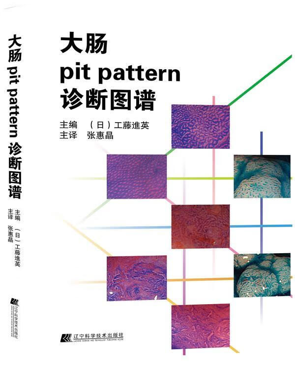 大肠pit pattern诊断图谱工英医学9787538185420
