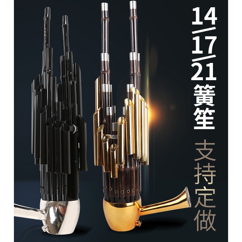 民乐14簧方笙17簧21簧圆笙扩音笙初学演奏 14簧紫竹白管铜斗笙-D调