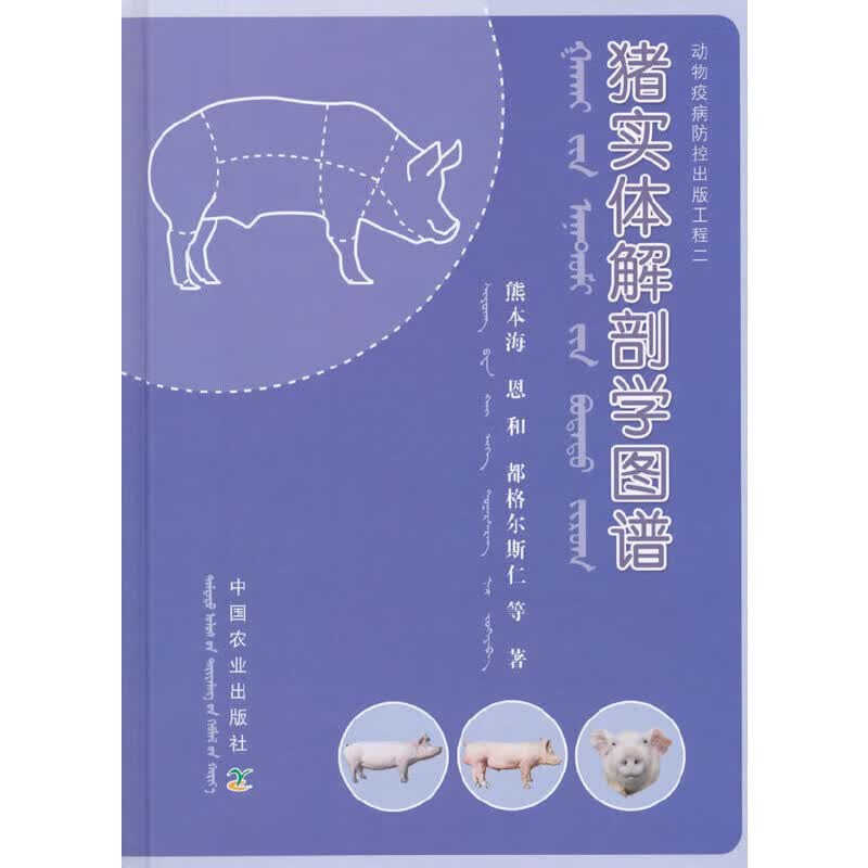 猪实体解剖学图谱
