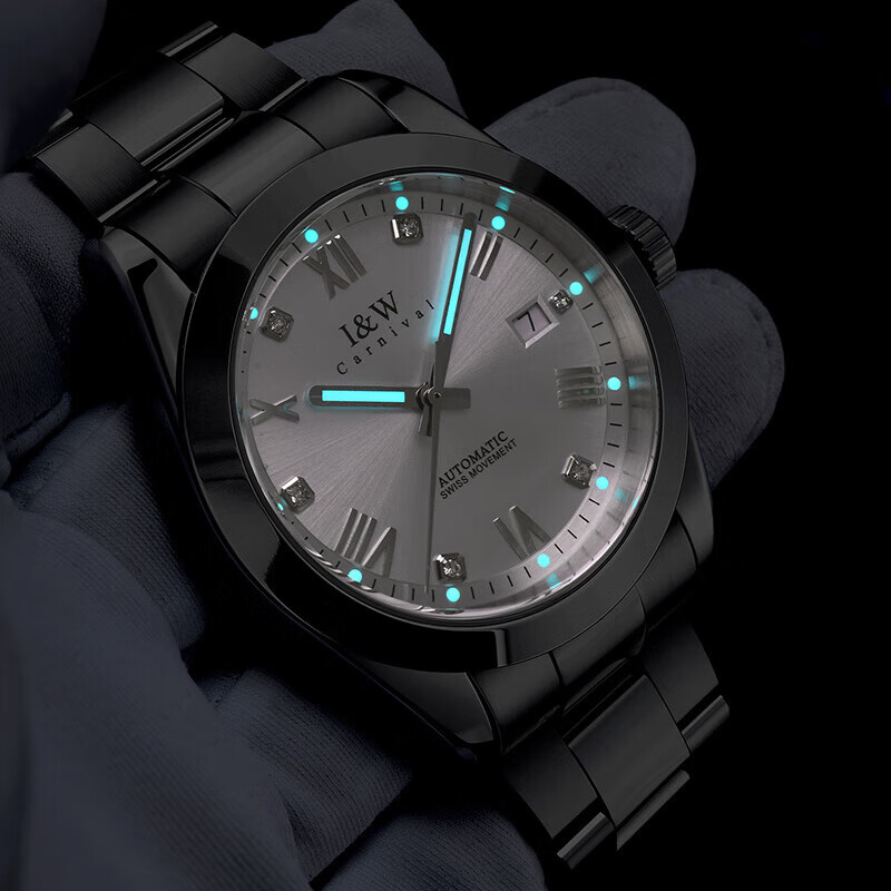 爱沃驰瑞士品牌IW手表男士机械表进口瑞士机芯夜光防水腕表品牌礼物手表 光圈雪花白【瑞士机芯】免费刻字