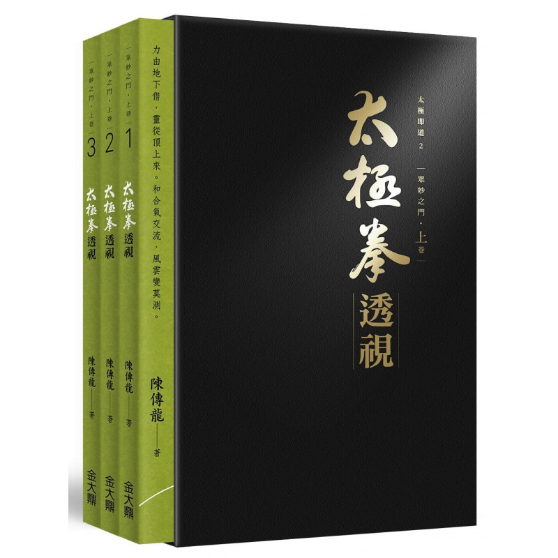 现货正版 太极拳透视 17 陈传龙 金大鼎 进口原版