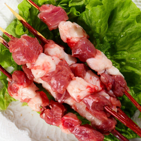 井掌柜【jd物流】红柳羊肉串大串烧烤肉羔羊红柳枝羊肉串30串户外烧烤