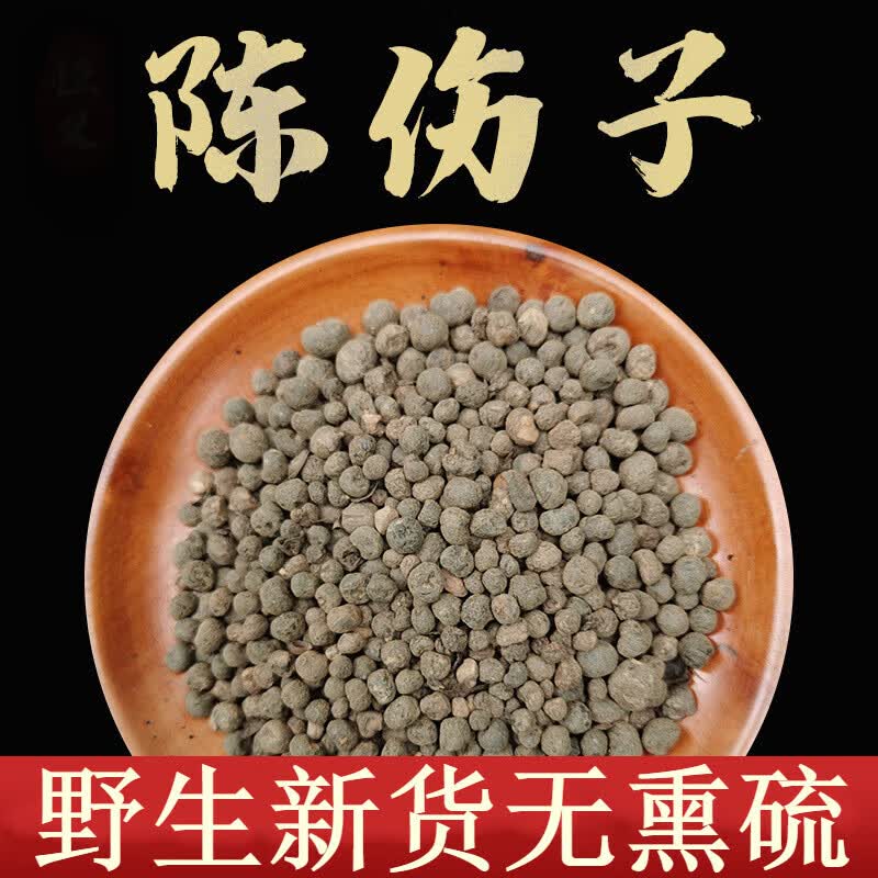 地下明珠中药材地下明珠20g落地珍珠陈伤子茅膏菜根