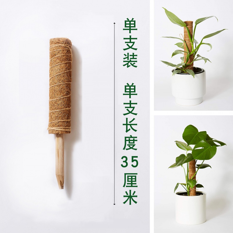 愛羅斯龜背竹支架龜背竹支撐柱大葉綠蘿支撐柱椰棕棒爬藤植物柱綠植用品 單支總長35厘米 送植物固定綁帶