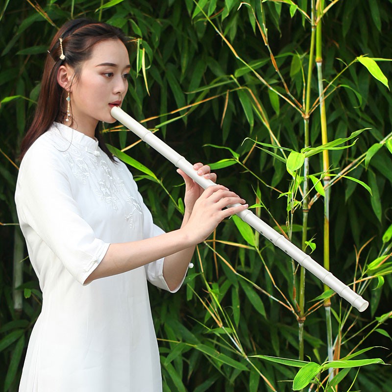 伶吟专业演奏树脂箫8孔洞箫高档不开裂G调初学入门古风九节萧乐器 白色款 8孔正手G调高性价比高么？