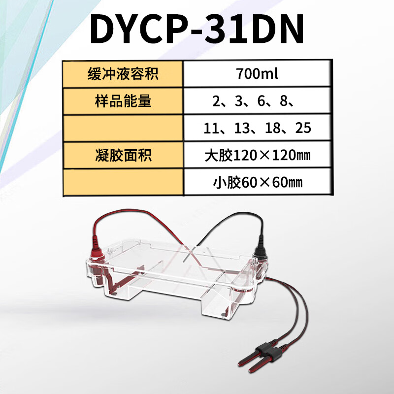 云启格叶拓核酸电泳槽DYCP-31DN/DY-24DN水平电泳槽蛋白电泳仪电源 DYCP-31DN(核酸)