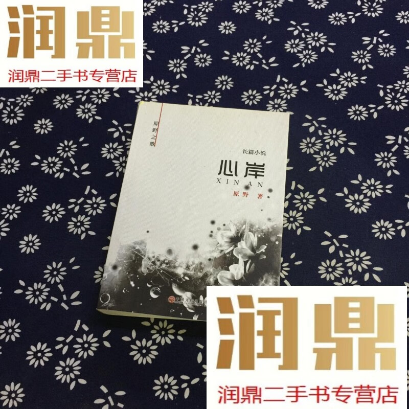 【二手九成新】长篇小说 心岸