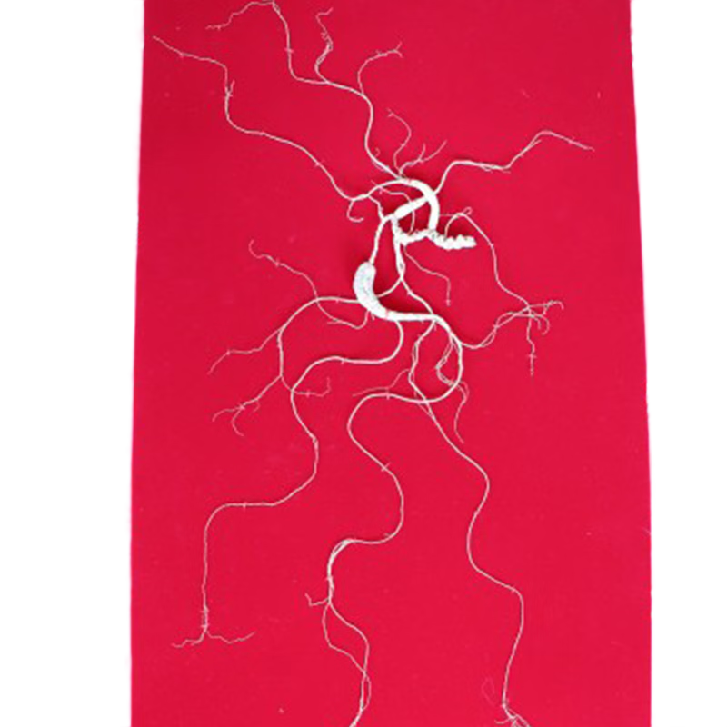 野潤 國檢特等野山參 延吉·國家參茸產(chǎn)品質(zhì)量監(jiān)督檢驗中心 長白山野山參禮盒 人參禮盒  可送禮可收藏 國檢特等野山參1B（80CM版）
