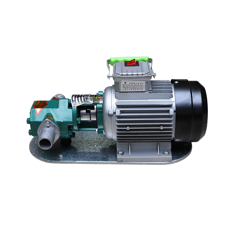 旭升WCB齒輪油泵220V/380V抽油泵耐高溫齒輪泵小型泵自吸輸油泵 口徑1寸WCB100泵頭(鑄鐵)