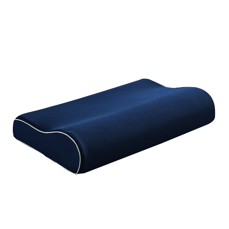 南极人慢回弹太空记忆枕，价格趋势稳定，值得购买