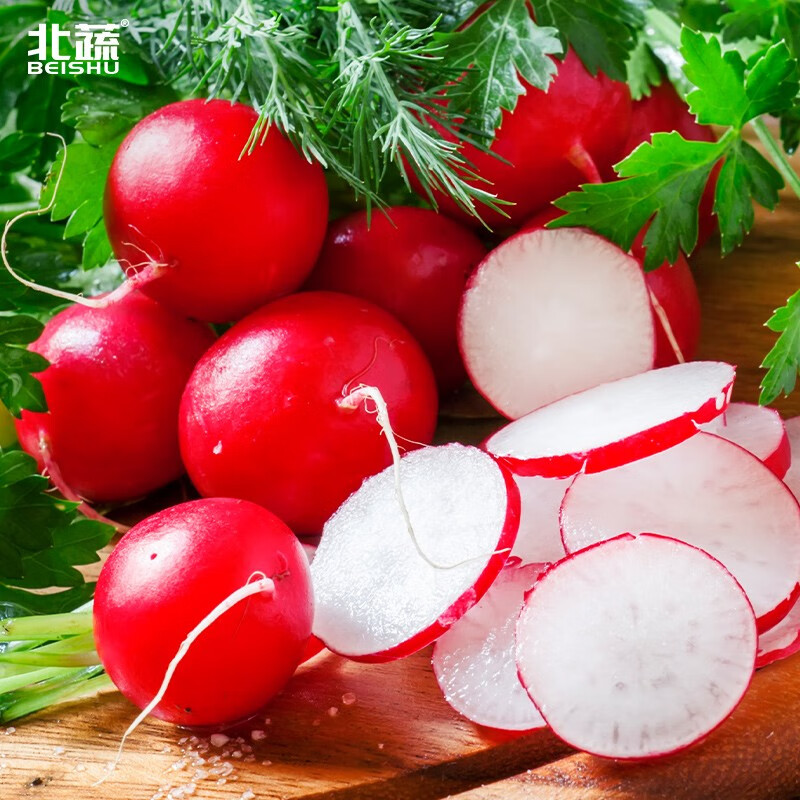 北蔬樱桃萝卜种子盆栽四季蔬菜籽 樱桃萝卜籽 1000粒×2袋