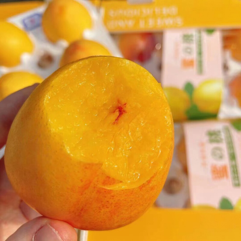 桃李村阿囡阿宝蜜桃黄油桃纯甜黄金水蜜桃子新鲜水果生鲜团购送礼 1盒