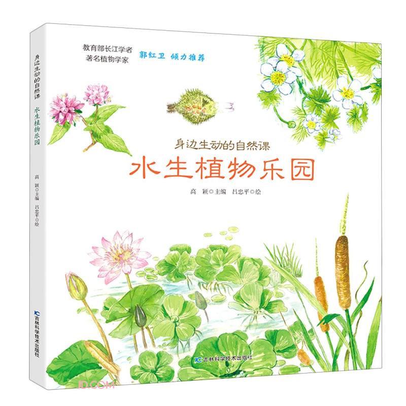 身边生动的自然课-水生植物乐园 