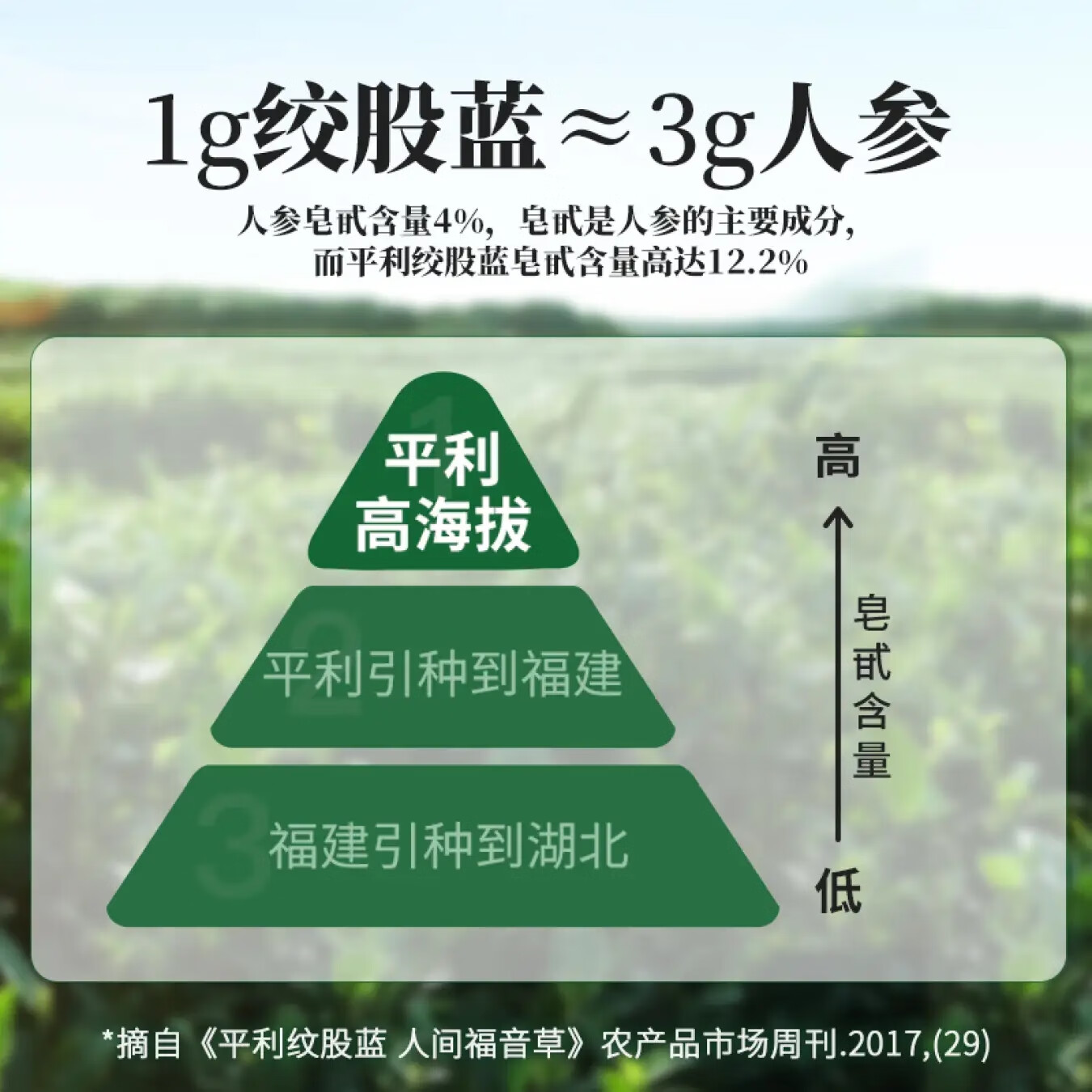 平利绞股蓝【正宗】平利绞股蓝龙须无糖礼盒茶 精选定制礼盒420克