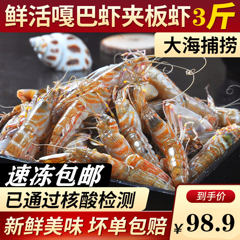 锦祥橙 嘎巴虾 花虾新鲜夹板虾海鲜水产渤海海湾特产大花虾海龙虾