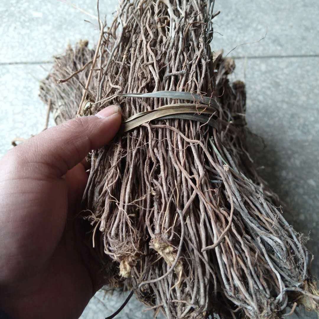 陕西秦岭野生威灵仙 新鲜威灵仙干货山辣椒秧根威灵仙根500g 500g