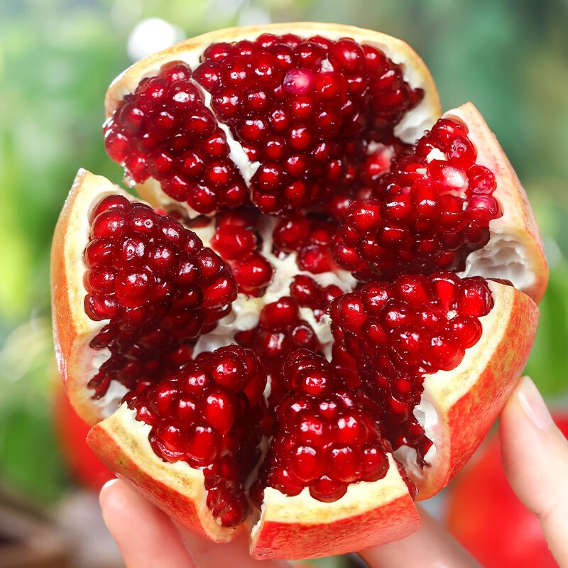 怎么看京东石榴商品历史价格|石榴价格比较